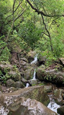 Waterfall hike with tour guide Skylar