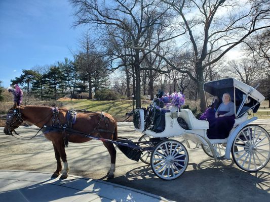 Carriage ride in Central park