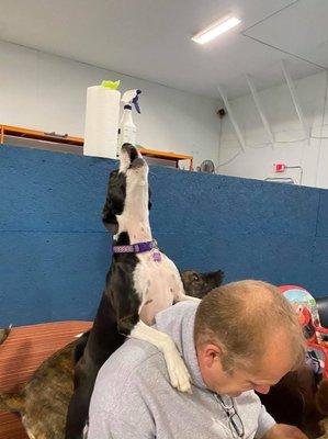 Not my dog, but I want you all to see the staff's apparent love for dogs. And, the dog here is definitely proud and happy.