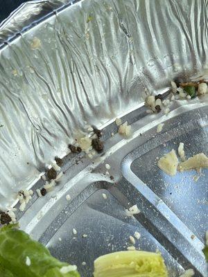 dirt in Caesar salad from unwashed lettuce