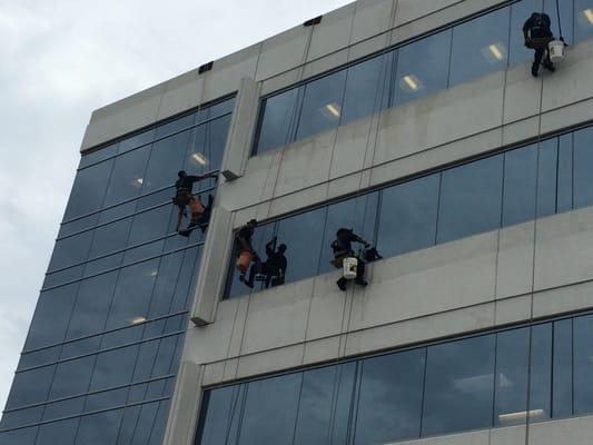 Window Washing