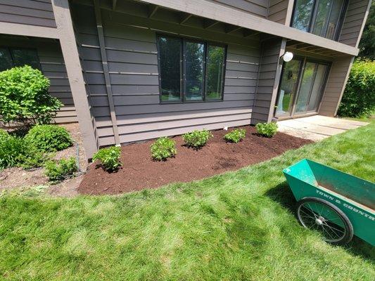 Mulching, Edging, Weed Barrior installed