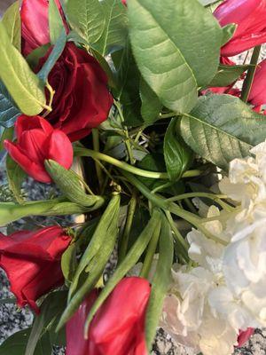 Stems thrown across top of arrangement, not even touching the water.