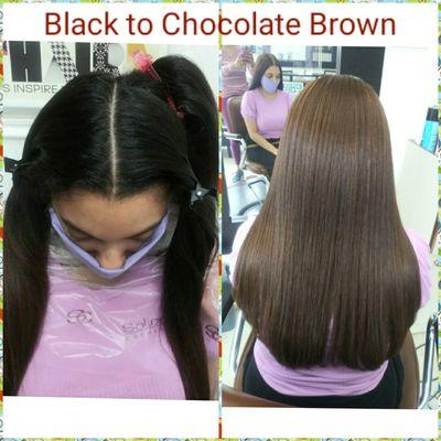 Black to Chocolate Brown