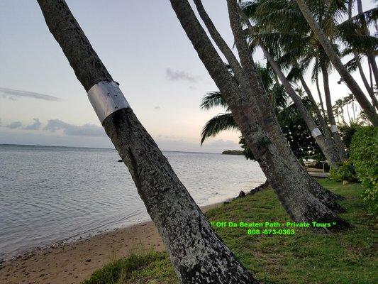 Access to private beach front property