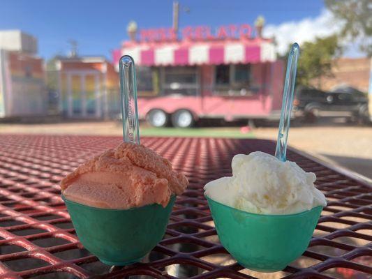 Blood orange & lemon sorbet