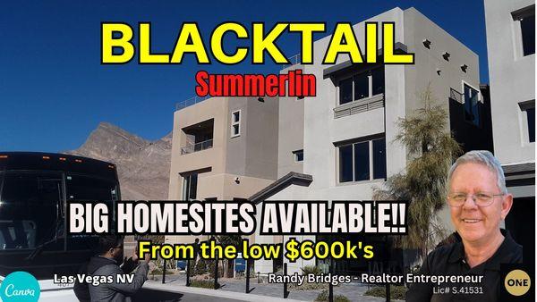 Today, Blacktail is located in the northwestern area of Las Vegas NV. Namely the Summerlin Masterplan Community.