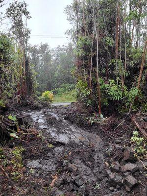 Beautiful Volcano weather. Nice cool and wet.