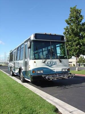 A COW bus