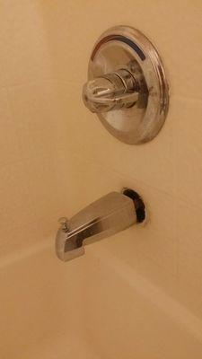 Open shower faucet, probably mold behind it.