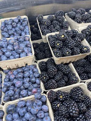 Berries from JG Berries. Mercado Laguna get a delivery of fresh produce from the Santa Monica Farmer's Market every Wednesday.