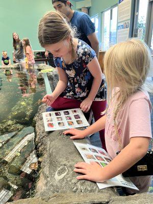 Love the identification sheets, so the kids can find a name the creatures