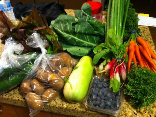 Mystery Box! Super fresh seasonal organic right off the truck produce! $25 what deal :)