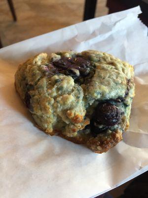 fresh locally baked blueberry scone