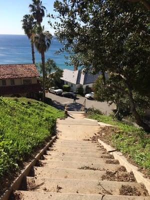 The most beautiful views of all the hidden stair climbs in L.A.