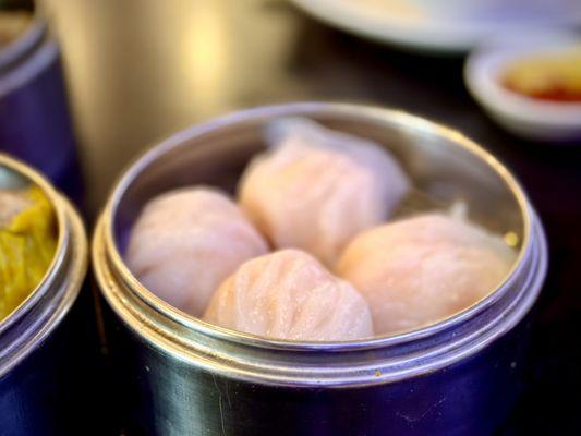 Shrimp Har Gow