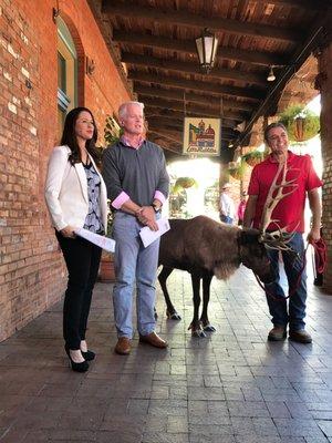 Book a reindeer exhibit https://www.zoomagination.com/programs