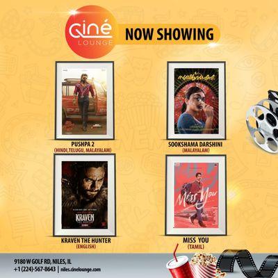 Immerse yourself in the world of cinema with our newest lineup!  From thrilling action to heartwarming dramas, a story awaits!