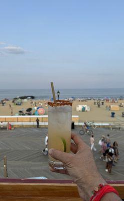 Paloma with beach views