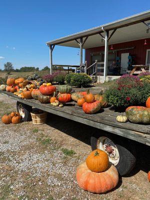 Fall decor