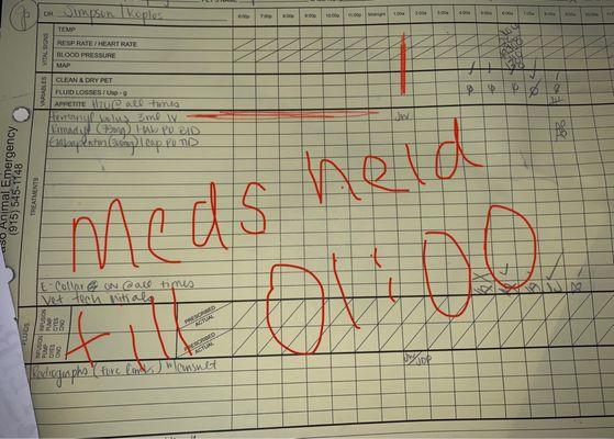 The documents of my pets arrival time and how long it actually took them to give him any type of relief.  This is document 2