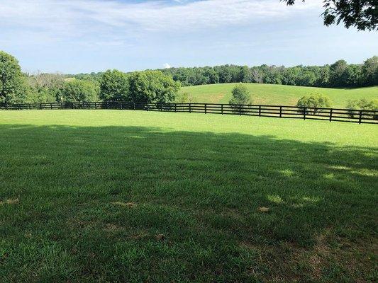 Tons of outside green space with Horses on the hillside