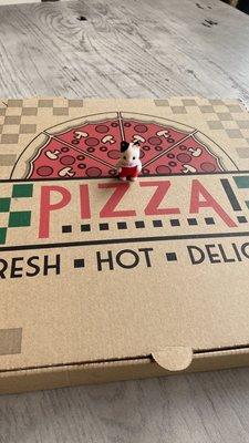 Pizza box