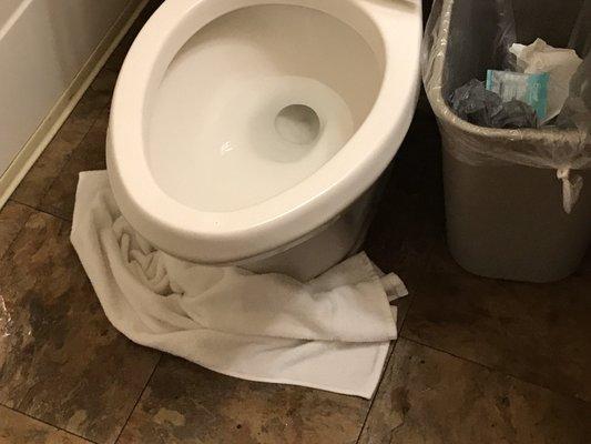 Leaking toilet when flushed