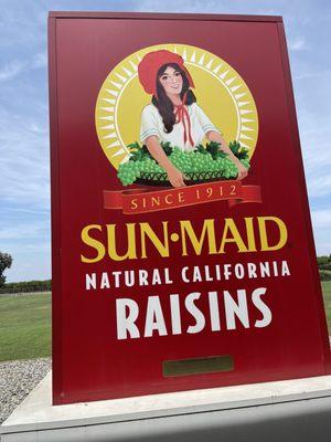 The world's biggest raisin box