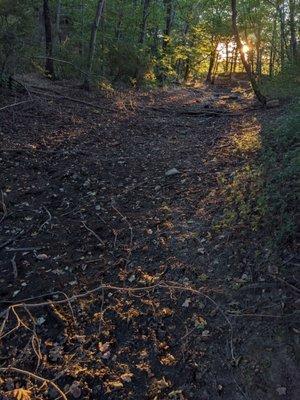 Around sunset there's tons of great spots that light everything up with gold.