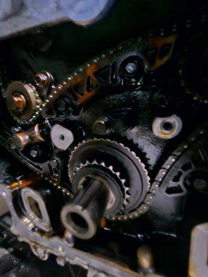 Timing chain