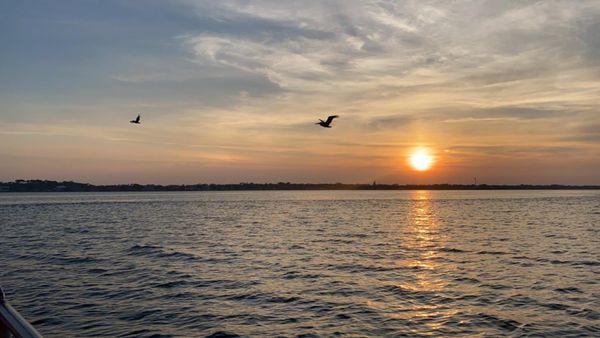 World Famous Boat Tours