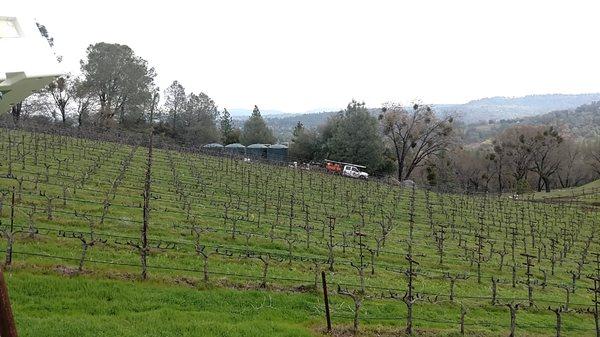 Vineyard irrigation project