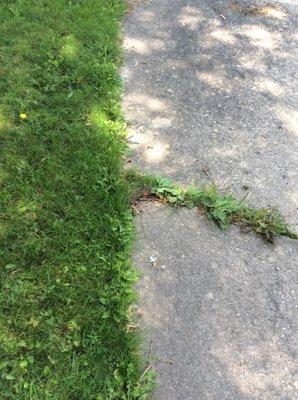 Before weeds edge of driveway.