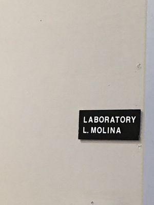 He has a lab in the office so turn around on your glasses is quick, unless you need specialized lenses polarized, thinner lenses, etc.