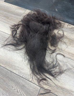 Half of my hair...on the floor.