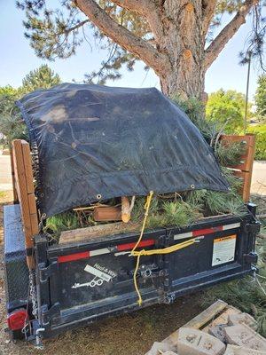 Full load of tree trimmings and yard debris.