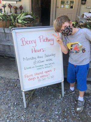 Berry picking hours- M-Sat. 8:30-12noon.