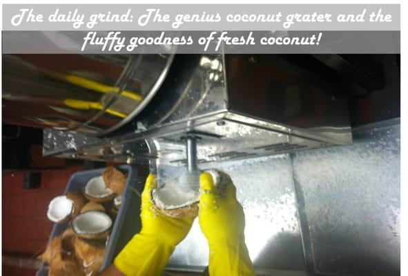 The daily grind: The genius coconut grater and the fluffy goodness of fresh coconut!