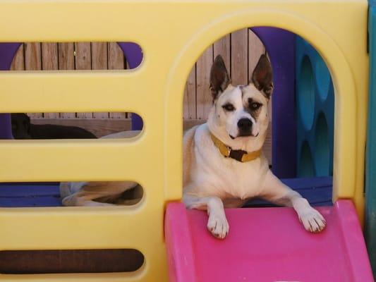 Irish loves the play house!