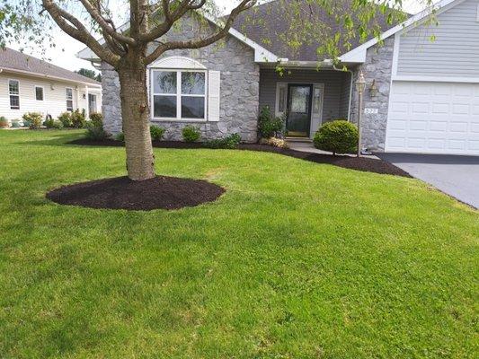 Stone work, garage doors, mulch, cut grass, planted tree , windows, did it all