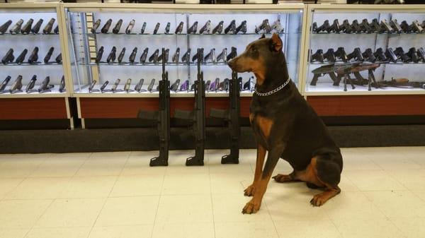 Ruger one of our shops disgruntled employees!