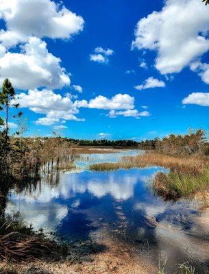 Grassy Waters Everglades Preserve