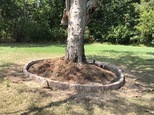 Retaining bed around tree