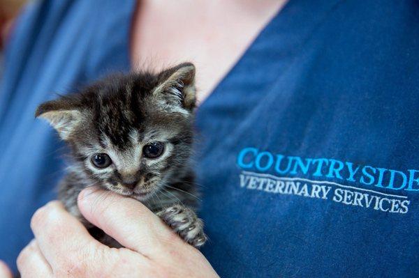 Countryside Veterinary Services