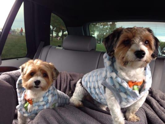 Me and my boys taking drive in my BMW!