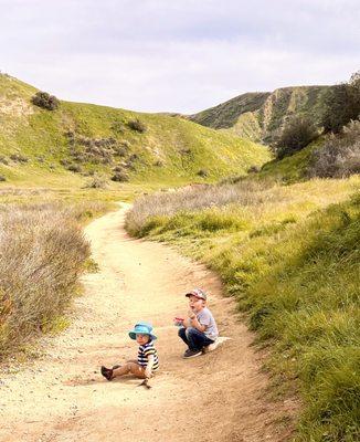 Hiking trail