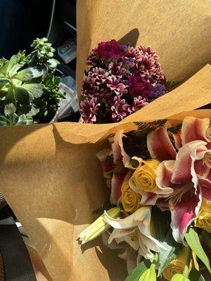 More gifts for mom and grandma. A large succulent arrangement for myself.