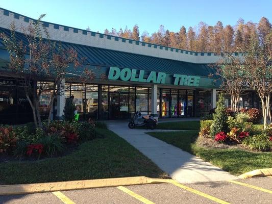 Dollar Tree - Anderson