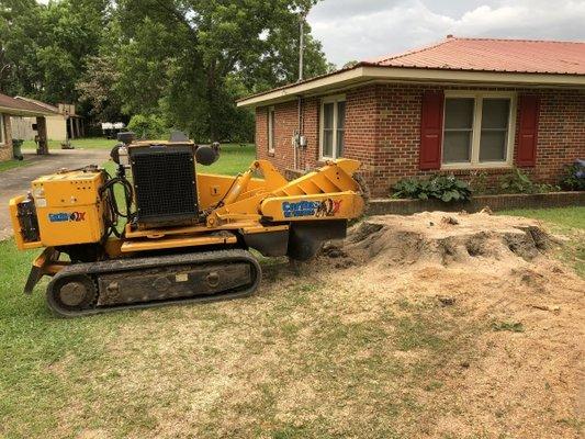 Tree Stump Removal and Grinding!